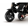 Qplay Rowerek Trójkołowy Nova+ Rubber Golden