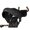 Qplay Rowerek Trójkołowy Rito Deluxe Rubber Black