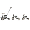 Qplay Rowerek Trójkołowy Stager 3w1 Silver