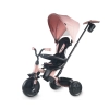 Qplay Rowerek Trójkołowy Elite Platinum Pink