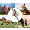 Milly Mally Hobby Plus Koń na Kiju Light Grey