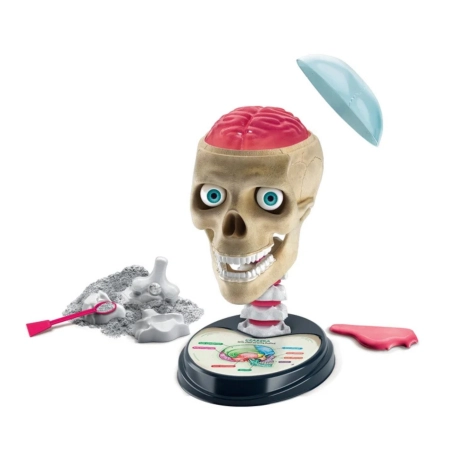 Clementoni Naukowa Zabawa Lab 50697 Zwariowana Anatomia