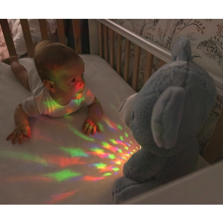 Milly Mally Zabawka pluszowa z Projektorem Milly Bear Blue