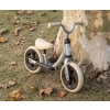 Qplay Rowerek Biegowy Trainer Silver