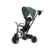 Qplay Rowerek Trójkołowy Elite Platinum Green