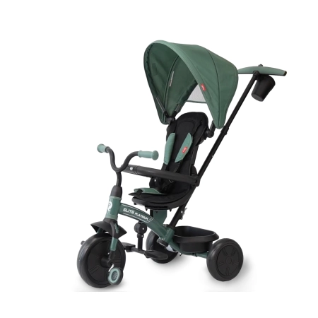 Qplay Rowerek Trójkołowy Elite Platinum Green
