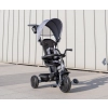 Qplay Rowerek Trójkołowy Elite Platinum Grey