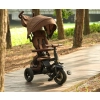 Qplay Rowerek Trójkołowy Rito Deluxe Rubber Brown