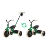 Qplay Rowerek Trójkołowy Elite Pro Green