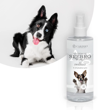 Koloidalne srebro w sprayu Carinio 250 ml